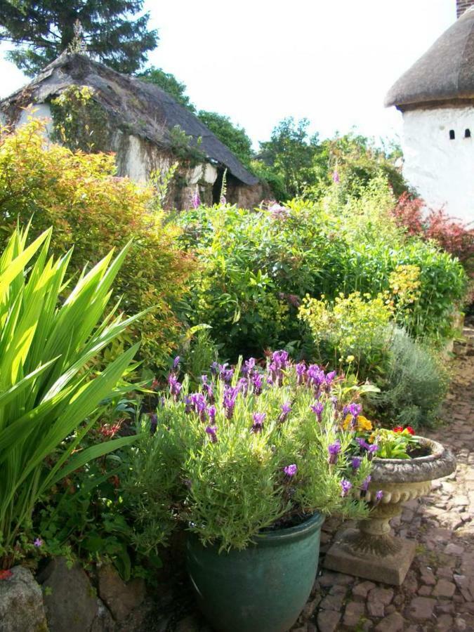 Middletown Farmhouse B&B Окхамптън Екстериор снимка